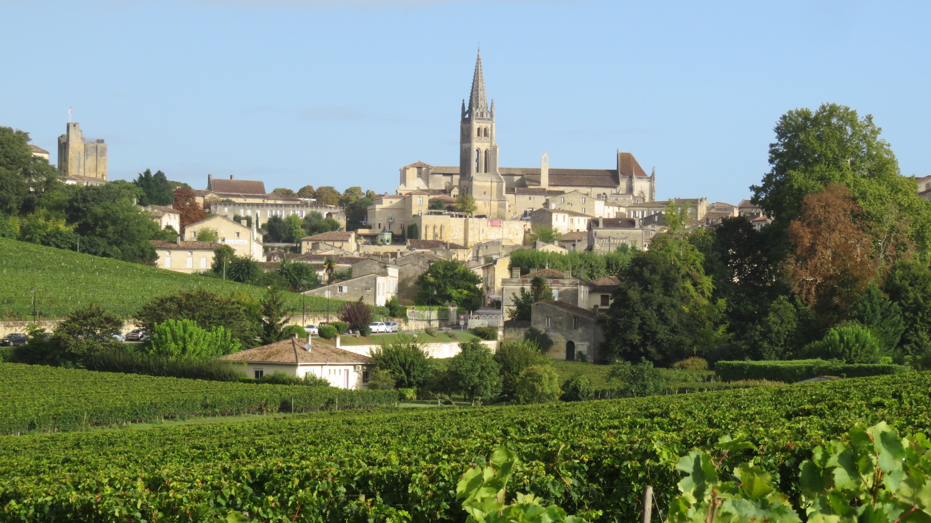 Petit tour d'horizon du vignoble bordelais