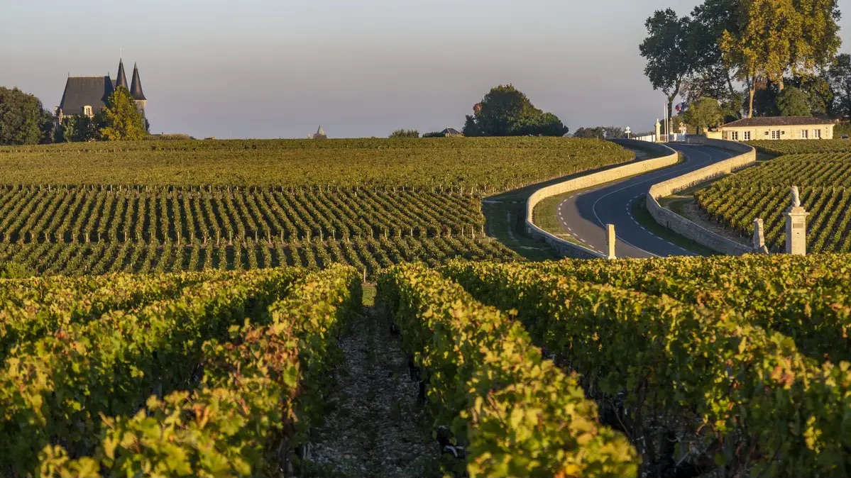 Portes ouvertes châteaux Bordeaux 2026