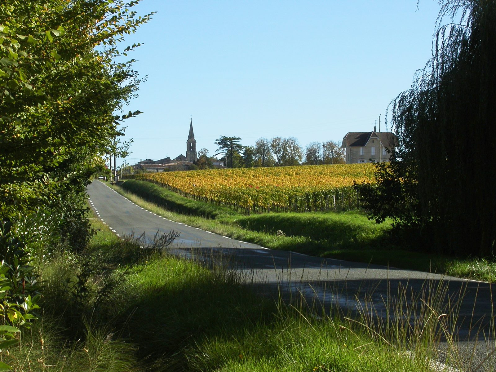 Vignes en couleurs d'automne à Saint-Christophe-des-Bardes, Saint-Émilion